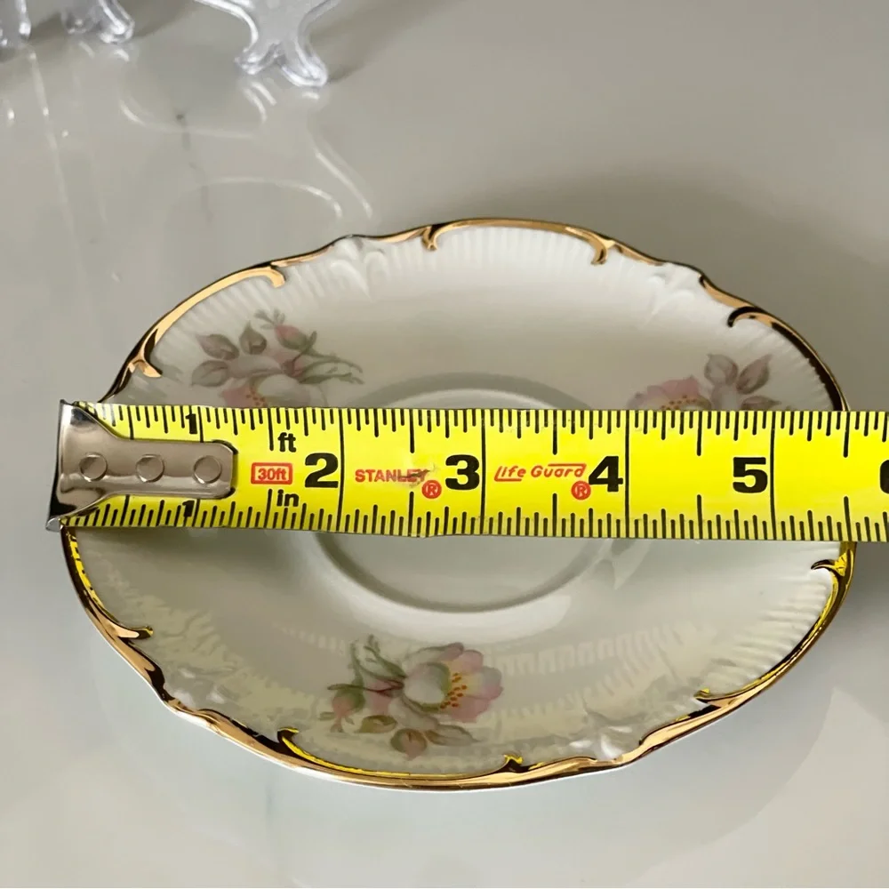 Wild Rose Cup & Saucer - Schuman Germany E&R Golden Crown